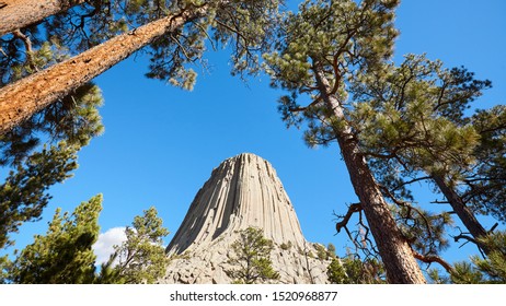 Devils Tower, A Laccolith Butte Composed Of Igneous Rock In The Bear Lodge Mountains, Top Attraction In Wyoming State, USA.