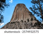 Devils Tower Towering Up Between the Trees, Devils Tower National Monument, Wyoming
