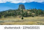 Devils Tower with white cloud above in evening sunlight behind golden field of grass and green pine tree forest | Devils Tower National Monument, Wyoming, USA