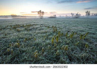 Devinske Jazero Bratislava Slovakia Nature Landscape