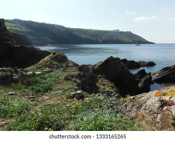 Devon coast in sun