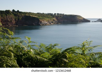Devon Coastal View