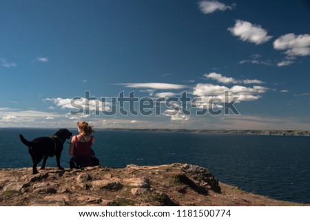 The Devon coastline 