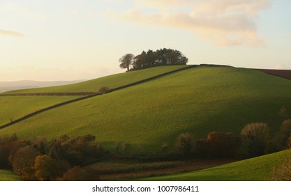 Devon Landscape - Autumn