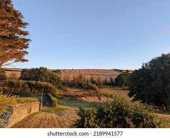 Devon Landscape Summer Sunny Scene