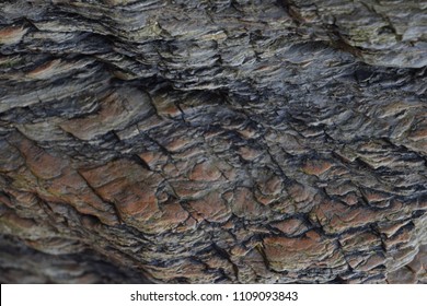 Devon Shale Rock