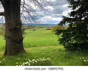 Devon Spring Landscape At Killerton