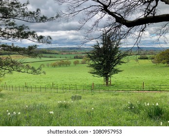 Devon Spring Landscape At Killerton