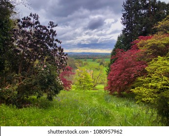 Devon Spring Landscape At Killerton