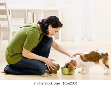 Gewidmete Frau, die hungrigen Haushund knetet und füttert