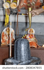 Devotee Offering Holy Milk During Traditional Shiva Shiva Lingam Abhishek rituals Worship Ceremony