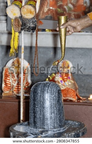Devotee Offering Holy Milk During Traditional Shiva Shiva Lingam Abhishek rituals Worship Ceremony