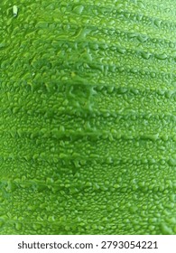 Dew covered leaf surface with diagonal lines and water beads, soft morning light on green foliage texture