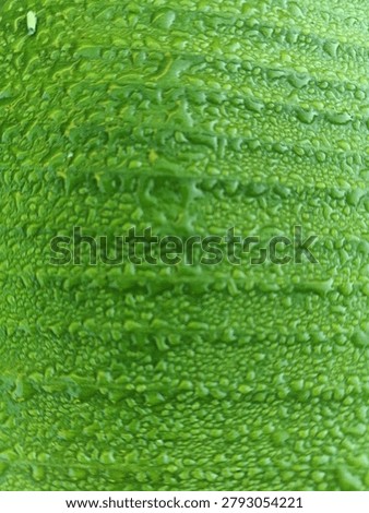 Dew covered leaf surface with diagonal lines and water beads, soft morning light on green foliage texture