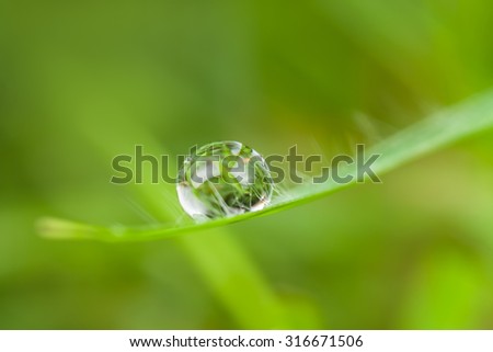 Similar – Foto Bild Wenn die Erde weint Gras