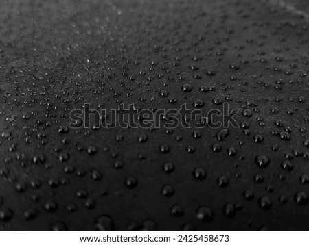 dew drops on black background 