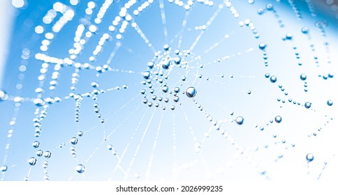 Dew drops on spider mesh Against Blue Sky. Abstract natural background. Pattern with dew drop texture on spider mesh on white background. Macro closeup Long Web banner - Powered by Shutterstock