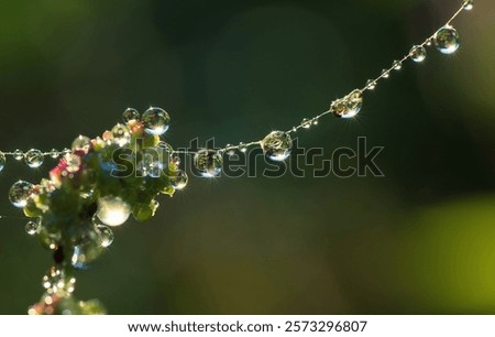 Similar – Image, Stock Photo Raindrops and sun rays on the garden chair