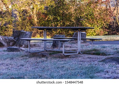 The Dew Is Forming On The Picnic Bench. 