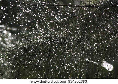 Similar – Foto Bild Blick durchs Fenster nach dem Regen