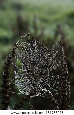 Similar – Image, Stock Photo in the brine park ….