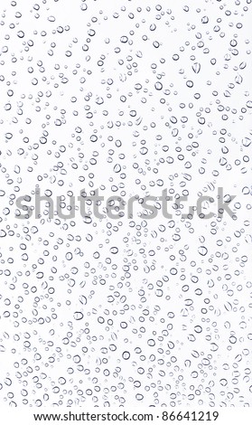 Dew of water on the white background