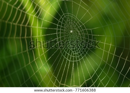 Similar – Image, Stock Photo Looking up in the beer garden