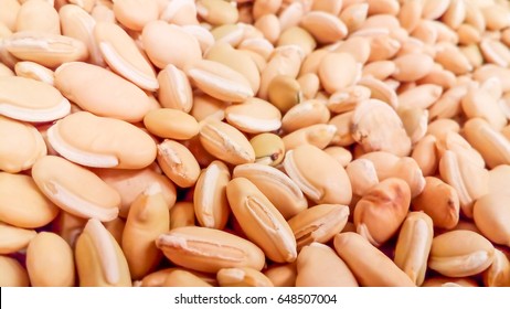  dhall beans