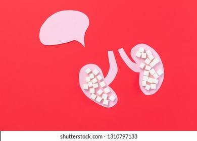 Diabetes concept. Sugar in human kidneys on red background. Cholesterol diet and healthy food. National nutrition month. Conceptual composition with copyspace