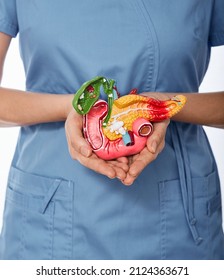 Diagnosis and treatment of pancreatic disease. Doctor showing anatomical model of pancreas demonstrating pancreas health concept, close-up - Shutterstock ID 2124363671