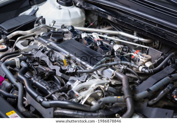 diagnostics of the car in the engine. car service\
and audit by an employee in a large car service. tube, fuse, black\
circuit under the\
hood