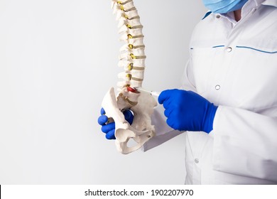 diagnostics and display of herniated intervertebral discs. plaster spine model - Shutterstock ID 1902207970