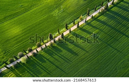 Similar – Image, Stock Photo Aerial View Spring Green Field And Forest Landscape. Top View Of Field And Forest Belt. Bird’s Eye View
