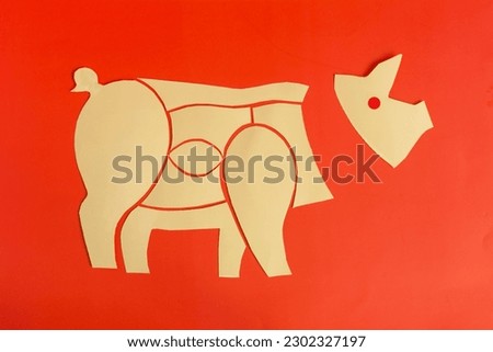 Diagram of a pig carcass made of cardboard on a colored background close-up