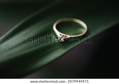 Diamond engagement ring on green leaf. Artistic love jewelry. Romantic gift empty copy space background. Macro closeup golden ring on a plant.