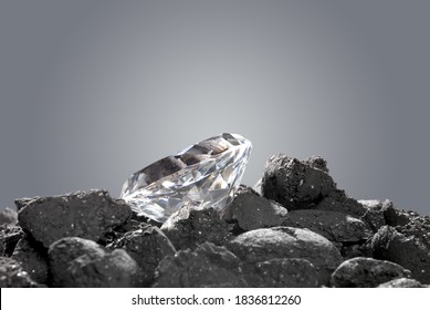 A Diamond In A Pile Of Coal Shows The Evolution Of A Precious Gem.