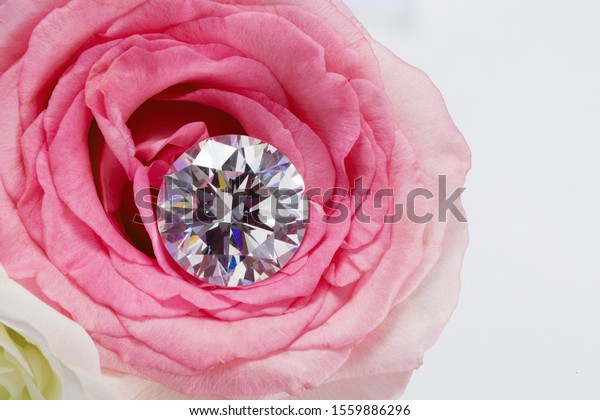 Diamond Pink Rose On White Background Stock Photo (Edit Now) 1559886296