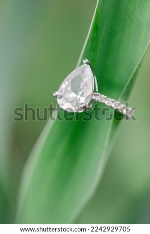 Diamond ring on a green leaf 
