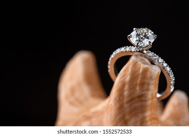 Diamond Ring on The Seashell - Shutterstock ID 1552572533