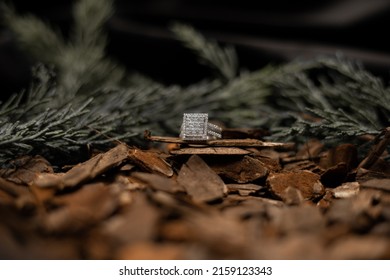 Diamond Ring Photo In Tree Concept