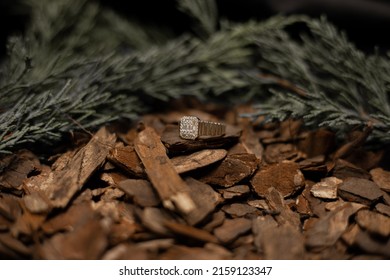 Diamond Ring Photo In Tree Concept