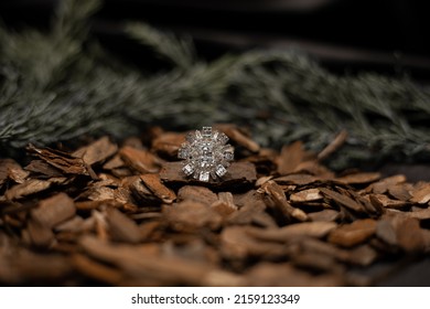 Diamond Ring Photo In Tree Concept