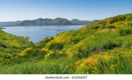 Diamond Valley Lake