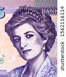 Diana, Princess of Wales a portrait from Wales money
