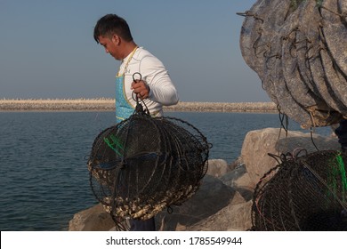 DIBBA AL FUJAIRAH, UNITED ARAB EMIRATES - DECEMBER 08, 2016: a Filipino oyster aquaculturist works at the United Arab Emirates' first oyster farm, in the Gulf of Oman.