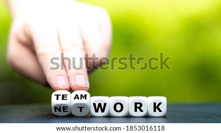 Dice form the words teamwork and network.