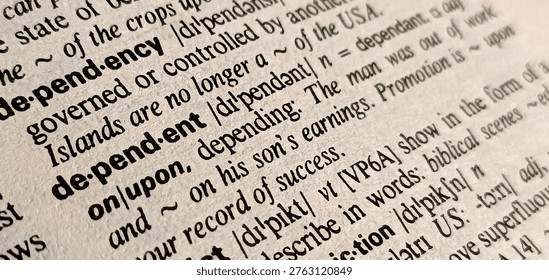 Dictionary definition of word dependent 