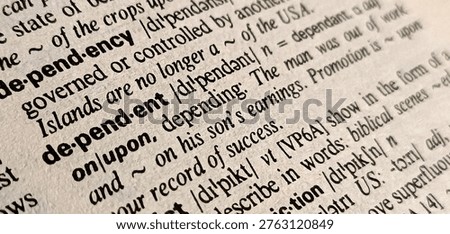 Dictionary definition of word dependent 