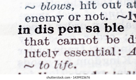 Dictionary definition of word indispensable, selective focus.