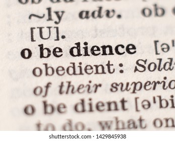 absolute obedience download english free